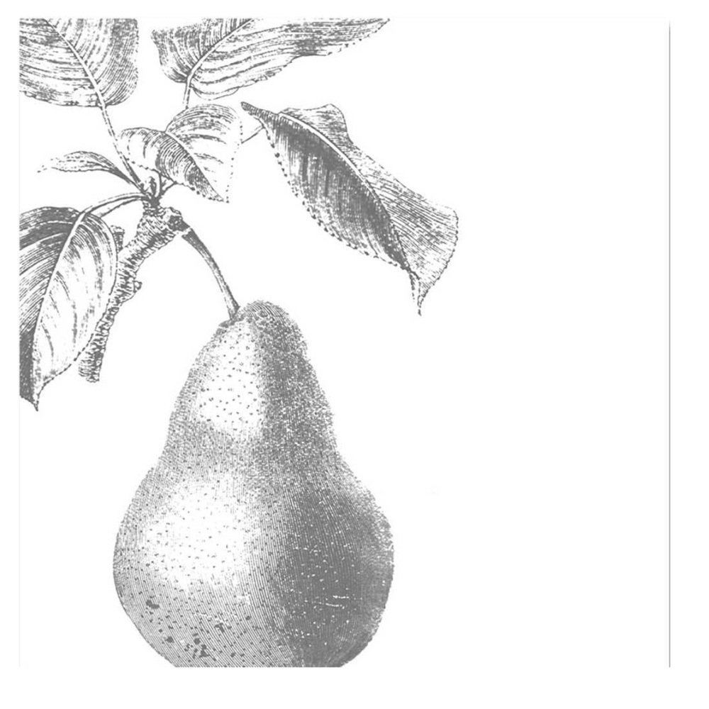Paperproducts Design Paper Engraved Pear Silver Luncheon Napkins (3331828), 20ct